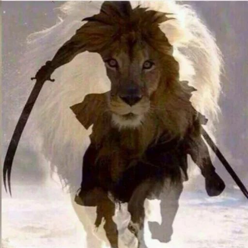 🦁 Стикер «Sobrujamiyll» для Telegram