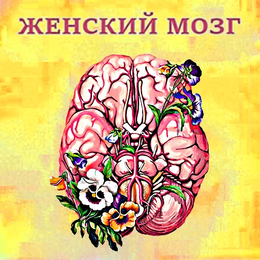 🧠 Стикер «общество женщин 2» для Telegram