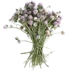 Стикер 41 S𑄈Ft ഒ