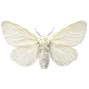 Стикер 54 S𑄈Ft ഒ