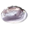 Стикер 51 S𑄈Ft ഒ