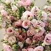💐 Эмодзи «softness» для Telegram