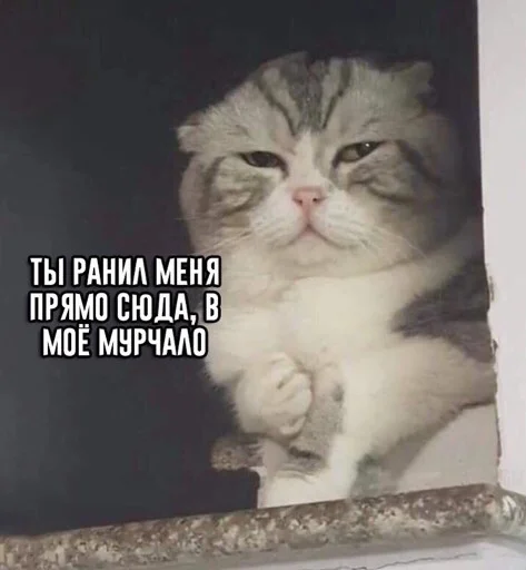😒 Стикер «Сохранёночки» для Telegram