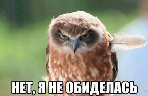 😠 Стикер «Сохранёночки» для Telegram