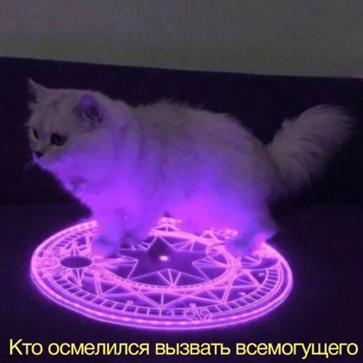 😼 Стикер «Сохранёночки» для Telegram