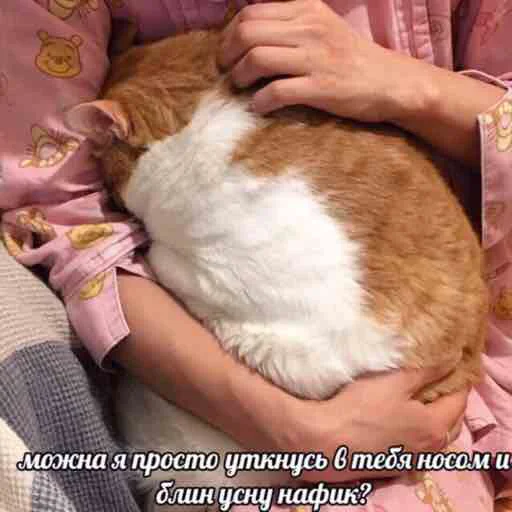 😣 Стикер «Сохранёночки» для Telegram