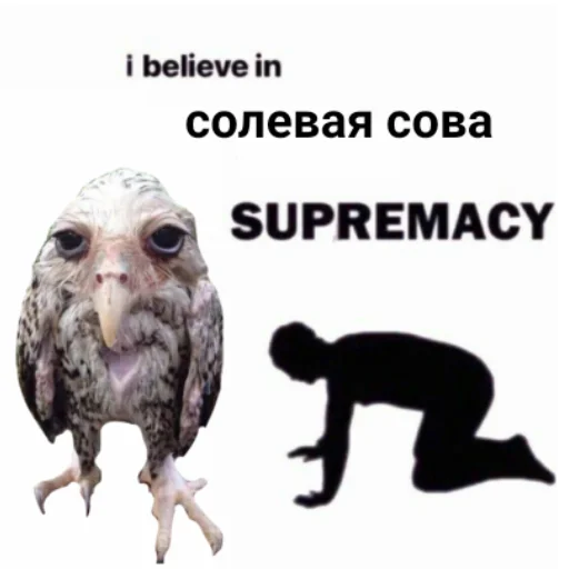 🧎‍♂ Стикер «Солевая сова» для Telegram