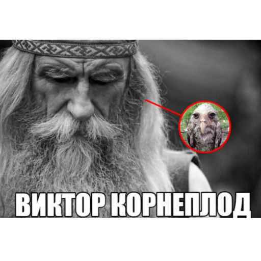 🧐 Стикер «Солевая сова» для Telegram