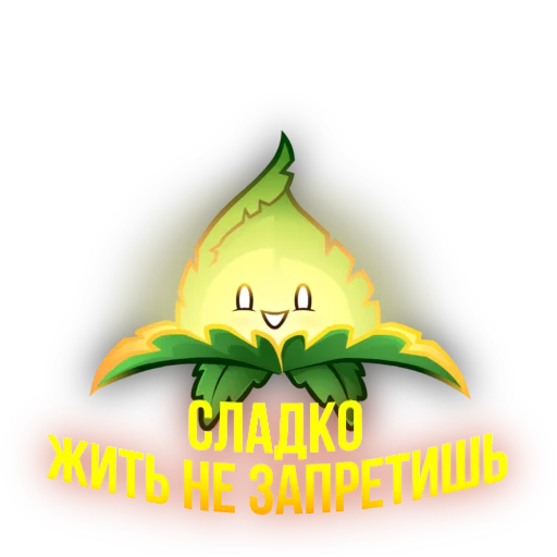🌟 Стикер «Солнечная тима» для Telegram