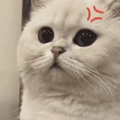 🐱 Стикер «Someneko» для Telegram