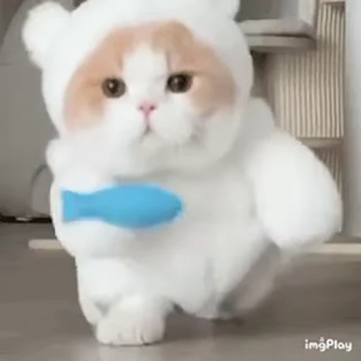 🐱 Стикер «Someneko» для Telegram
