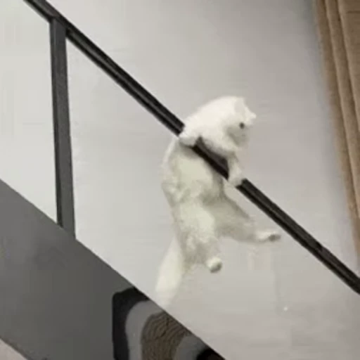 🐱 Стикер «Someneko» для Telegram