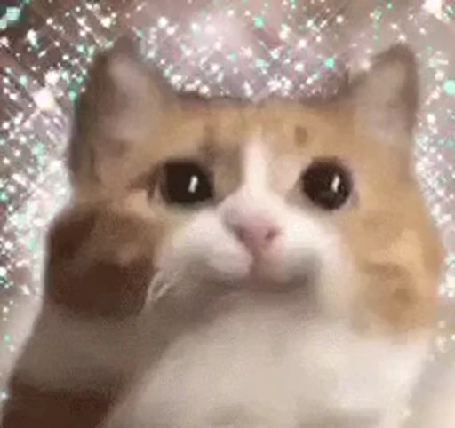 🐱 Стикер «Someneko» для Telegram