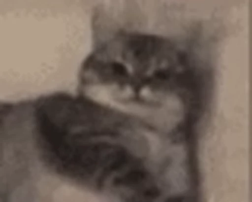 🐱 Стикер «Someneko» для Telegram