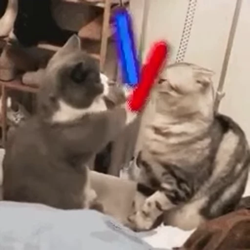 🐱 Стикер «Someneko» для Telegram
