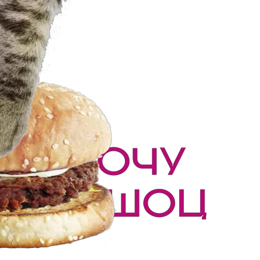 🍔 Стикер «Some Videocards» для Telegram
