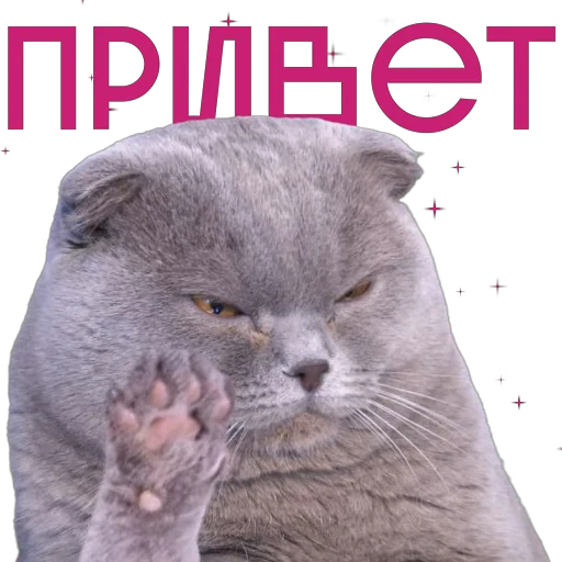 👋 Стикер «Some Videocards» для Telegram
