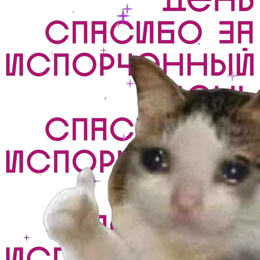 👍 Стикер «Some Videocards» для Telegram