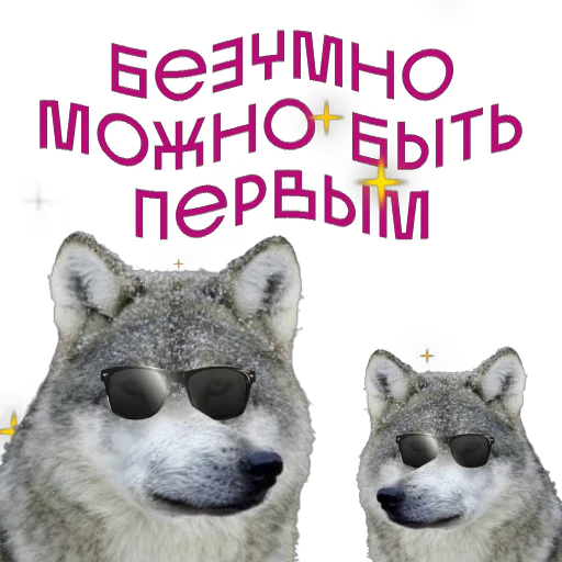 🐺 Стикер «Some Videocards» для Telegram