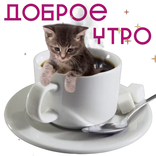 😆 Стикер «Some Videocards» для Telegram