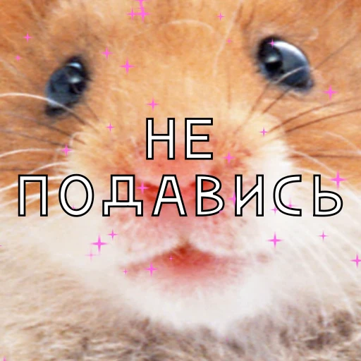 😑 Стикер «Some Videocards» для Telegram