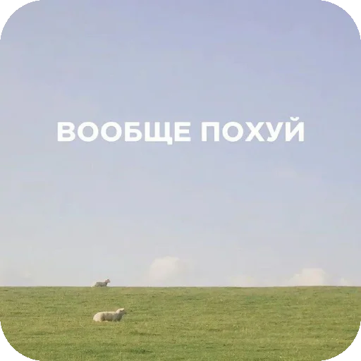 🌾 Стикер «соник хЕРоес KateSa ???» для Telegram