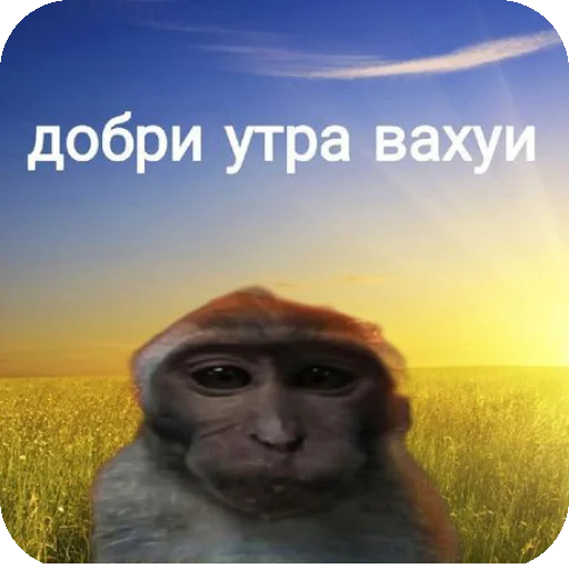 🌅 Стикер «соник хЕРоес KateSa ???» для Telegram