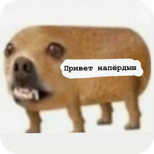 💩 Стикер «соник хЕРоес KateSa ???» для Telegram
