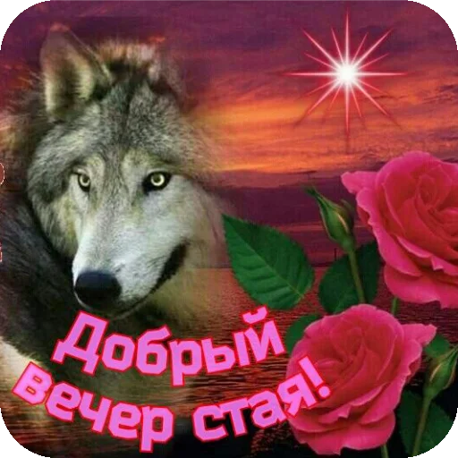 🐶 Стикер «соник хЕРоес KateSa ???» для Telegram