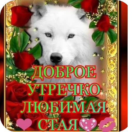 🐶 Стикер «соник хЕРоес KateSa ???» для Telegram