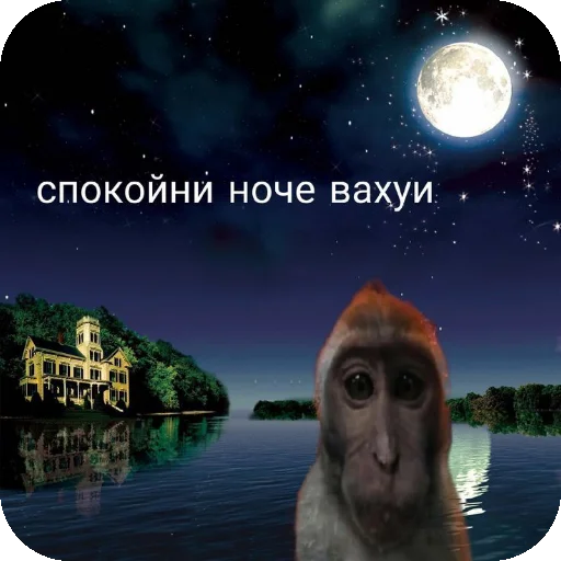 🌌 Стикер «соник хЕРоес KateSa ???» для Telegram