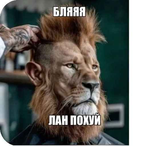 👎 Стикер «соник хЕРоес KateSa ???» для Telegram