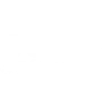 Стикер 29 Sonic Adaptive