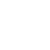 Стикер 21 Sonic Adaptive