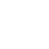 Стикер 13 Sonic Adaptive