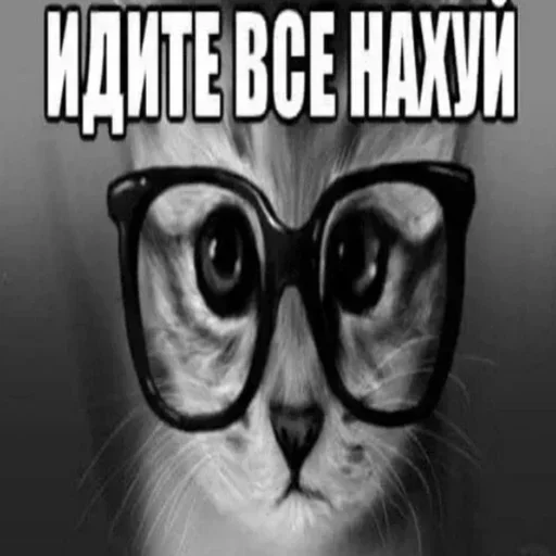 🖕 Стикер «𝔰𝔬𝔰𝔲 ->» для Telegram