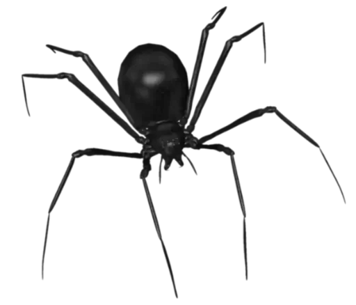 🕷 Стикер «𝔰𝔬𝔰𝔲 ->» для Telegram