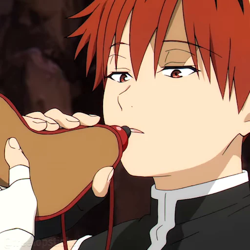 🚰 Стикер «Sousou no Frieren» для Telegram