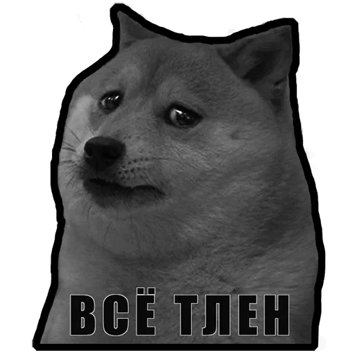 😩 Стикер «СОВОкупление» для Telegram