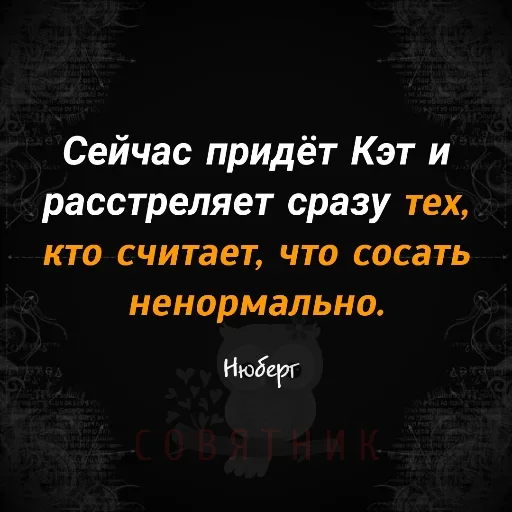 🤪 Стикер «Совятник в цитатах» для Telegram