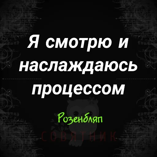 🤪 Стикер «Совятник в цитатах» для Telegram