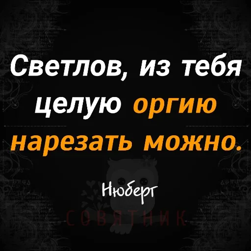 🤨 Стикер «Совятник в цитатах» для Telegram