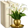Стикер 35 Books