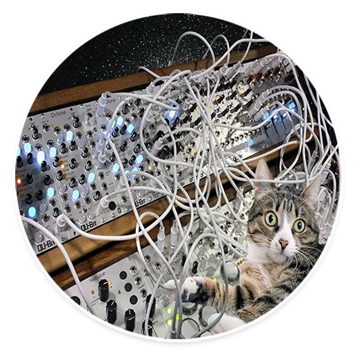 🤩 Стикер «Space Cats» для Telegram