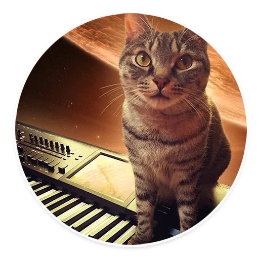 😕 Стикер «Space Cats» для Telegram