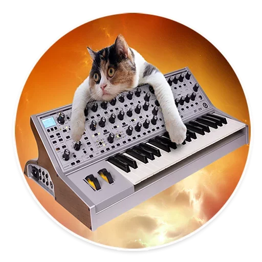 😥 Стикер «Space Cats» для Telegram