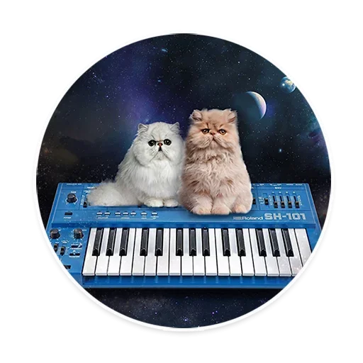 😑 Стикер «Space Cats» для Telegram