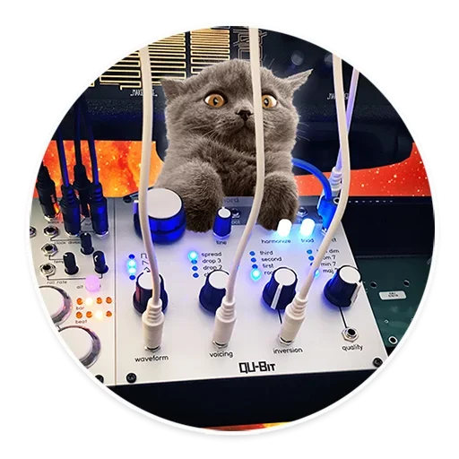 😩 Стикер «Space Cats» для Telegram