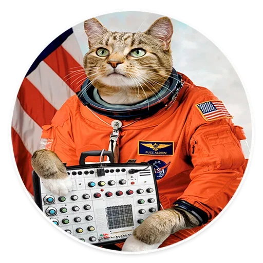 😝 Стикер «Space Cats» для Telegram