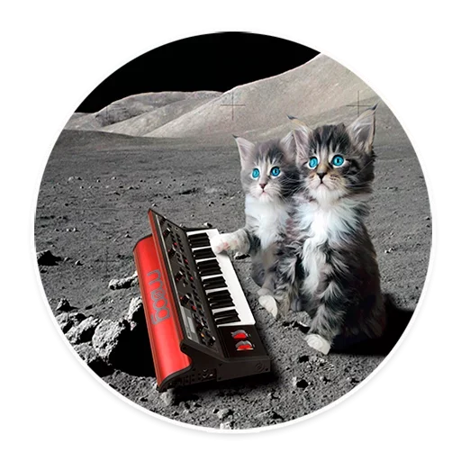 🥺 Стикер «Space Cats» для Telegram